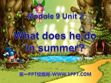 What does he do in summer?PPTμ