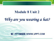 Why are you wearing a hat?PPTμ3
