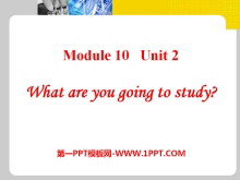 What are you going to study?PPTμ
