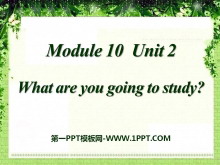 What are you going to study?PPTμ3