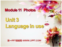 Language in usePhotos PPTμ