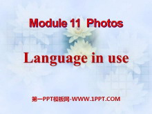 Language in usePhotos PPTμ2