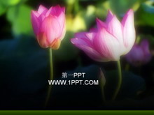 ޺ɻPPTģ