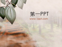 ҶPPTģ