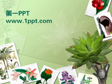 ֲPPTģ