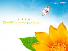 ʻPPTģ