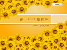 տPPTģ