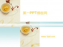 Ż豳PPTģ