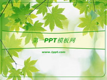 ɫҶPPTģ