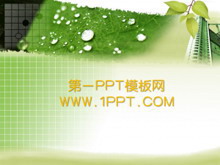 ɫҶֲPPTģ