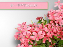 ʻֲPPTģ