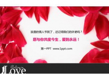 õ廨걳˽PPTģ