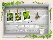 PPTͼƬ