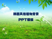 µĺȻ羰PPTģ