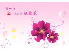 ž黨PPTģ