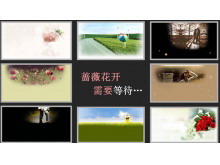 ǾޱҪȴPPT