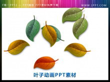 ̬ҶƮPowerPointز