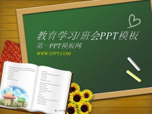 ڰ۱ʱĽѧϰPPTģ