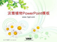 žջֲPowerPointģ