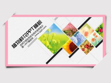һ龫ʻֲﱳõƬģ