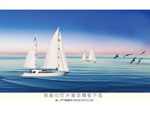 һ鷫˶õƬͼƬ