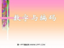 ѧǡֱ롷PPTμ