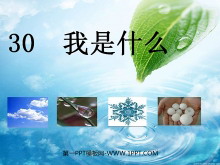 ʲôPPTѧμ3