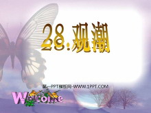 ۳PPTμ4