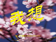 롷PPTμ4