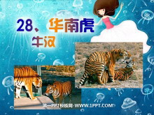 ϻPPTμ2