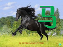 PPTμ