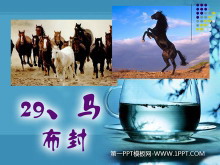 PPTμ5