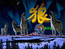 ǡPPTμ4