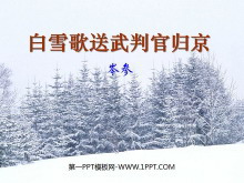 ѩйٹ龩PPTμ3