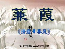 硷PPTμ