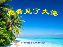 ҿ˴󺣡PPTμ2