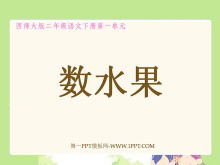 ˮPPTμ