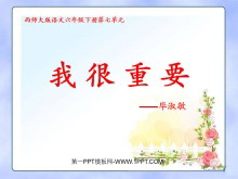 ҺҪPPTμ