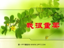 ҺҪPPTμ2