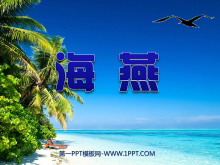 ࡷPPTμ6