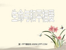 ƽమPPTμ3