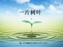 һƬҶPPTμ2