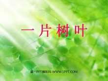 һƬҶPPTμ3