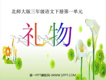 PPTμ5