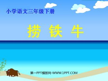 ţPPTμ4