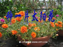 һƬ̫PPTμ2