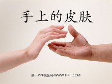 ϵƤPPTμ5