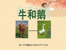 ţͶ졷PPTμ3