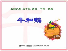 ţͶ졷PPTμ4