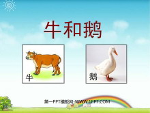 ţͶ졷PPTμ5
